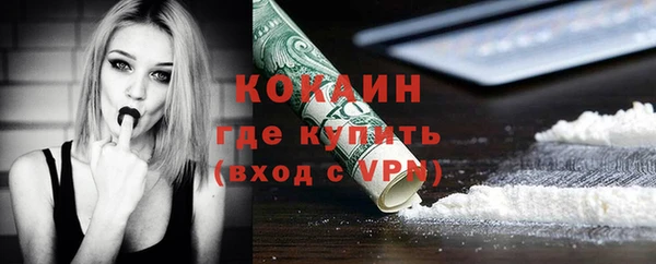 шишки Арсеньев