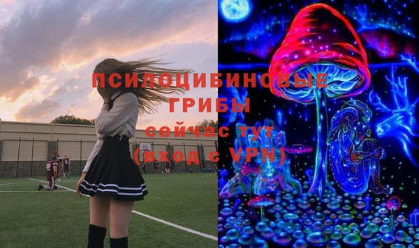 ГАЛЛЮЦИНОГЕННЫЕ ГРИБЫ Армянск