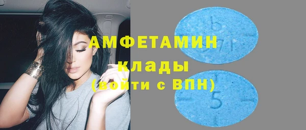 шишки Арсеньев