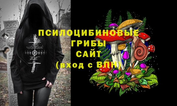 шишки Арсеньев
