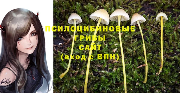 ГАЛЛЮЦИНОГЕННЫЕ ГРИБЫ Армянск