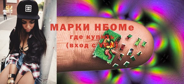 шишки Арсеньев