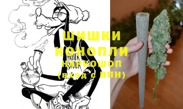 шишки Арсеньев