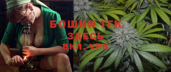 шишки Арсеньев