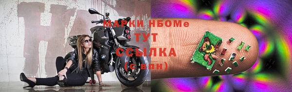 шишки Арсеньев